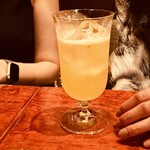 オーチャードナイト - 