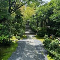 高台寺 十牛庵 - 