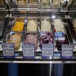 Gelateria & Factory Loop - 