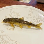 旬彩天 つちや - 天然稚鮎