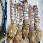 源蔵本店 - しゃこ。爪の食べ方教えてもらった