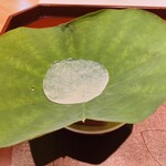 馳走 啐啄一十  - 【写真⑮】スイカ、海水(瀬戸内海)ジュレ掛け