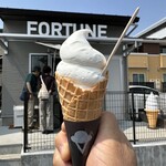 FORTUNE ICE CREAM - 