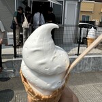 FORTUNE ICE CREAM - 