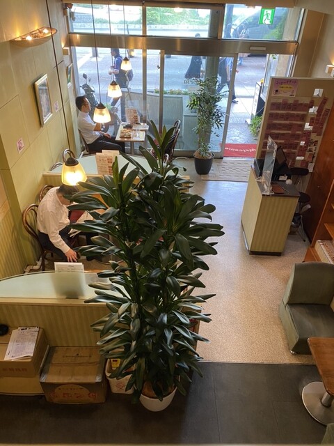 Kissa Gloria photo 4