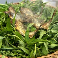 かんだ - 鮎はひとり２尾。