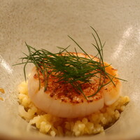 IZA - 帆立のスコッタートアップ