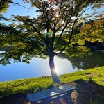 ショウゾウ シラカワ 水辺のコーヒー - 