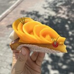 フォルテシモ アッシュ - 