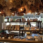 フォルテシモ アッシュ - 