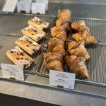 フォルテシモ アッシュ - 