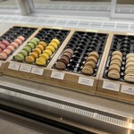 フォルテシモ アッシュ - 