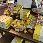 フォルテシモ アッシュ - 