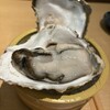 旬鮮酒場天狗 - 岩牡蠣