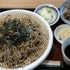 十割麺処なんばんや - 韃靼ざるそば
