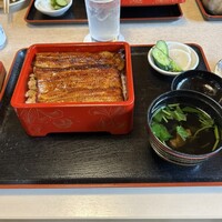 満寿家 - うな重特上