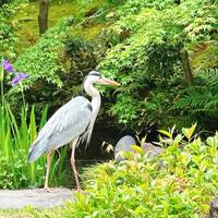 南禅寺参道 菊水 - 