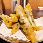 西口アオギリ - 