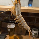 備長炉端 だいやめ - 