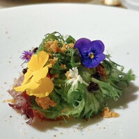 Maison B - 