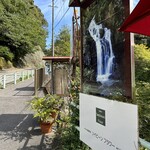 薬膳茶ソイビーンフラワー atきらら - 