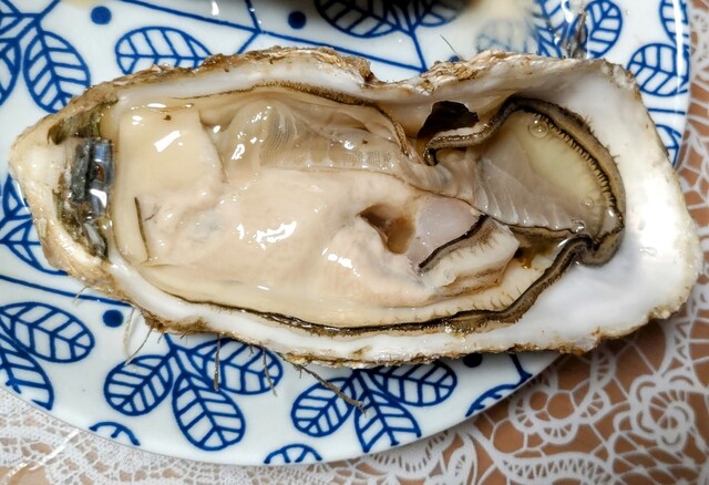 かき小屋 海の駅 ぷらっと港市場 - 苫小牧（海鮮）の写真