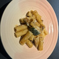 セルサルサーレ - 