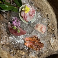 福島 もう利 - お造り　鯨のさえずりに家族が感動していました。