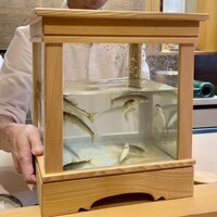 日本料理 かしづき - 