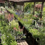 アールケイ ガーデン - 