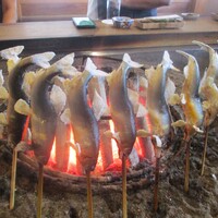 柳家 - 天然鮎とアマゴが囲炉裏でじっくりと焼かれていきます。