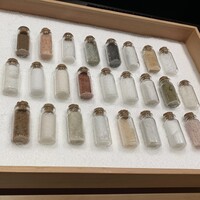 シブ ニシナカス - 