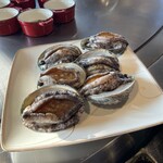 THE KOBECRUISE コンチェルト - 