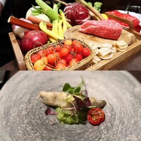 オッジ ダルマット 西麻布店 - 