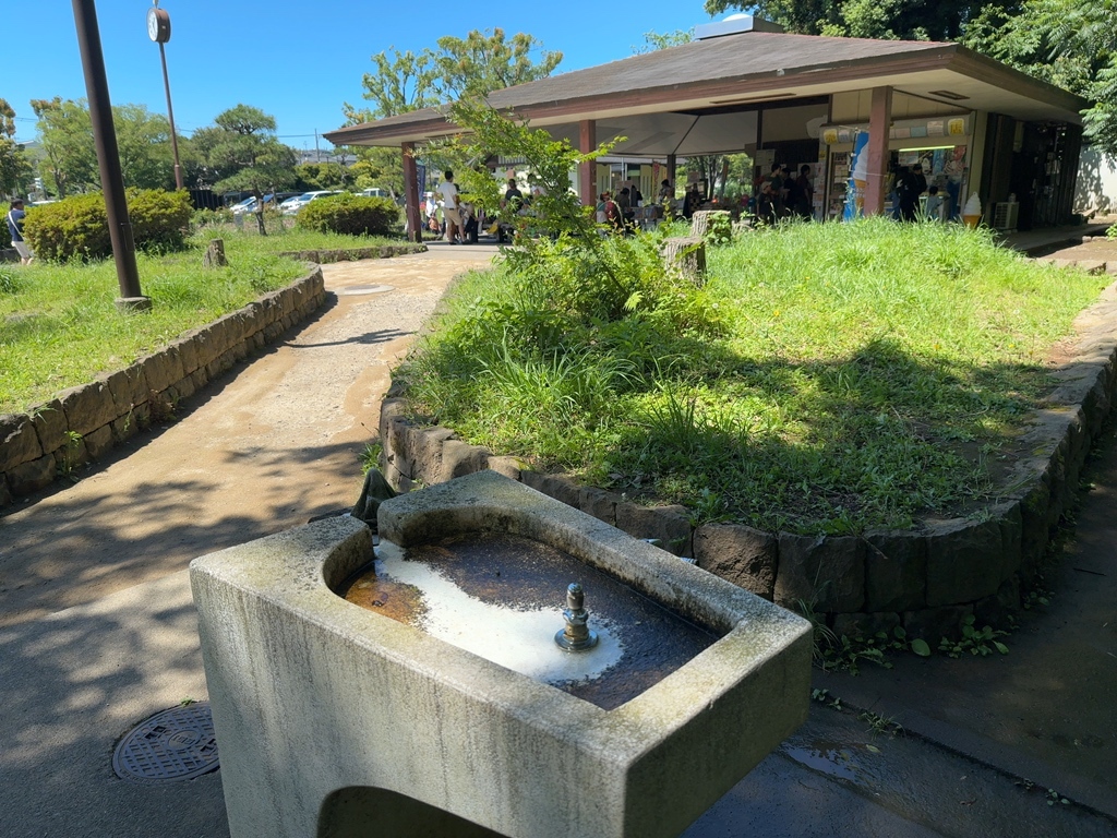 Kodomo Shizen Park in Asahi-Ku, Yokohama-Shi, Kanagawa, Japan