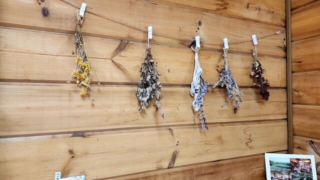 香遊生活 - 東相内（スイーツ）の写真