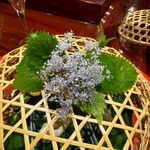 草喰 なかひがし - 