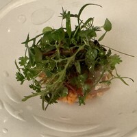 マダム・トキ - 