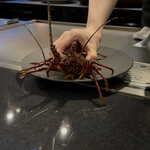 銀座 和牛鉄板焼 USHIGAMI - 