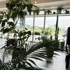 Botanical cafe KING-GOD