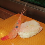 ていね鯉寿し - 