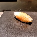 島津 - ヒラスズキ