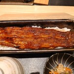 うなぎ四代目菊川 横浜ベイクォーター店 - 