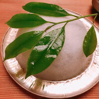 本湖月 -  本湖月 -