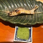 銀座 しのはら - 郡上八幡　鮎　炭火焼き