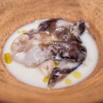 レストラン オオツ - 2024.6 貝のスープ（白ミル貝、鳥貝、地物ホッキ貝、貝出汁スープ、根セロリのピュレ）