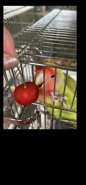 JA山形おきたま 南陽愛菜館 - 宮内（その他）の写真