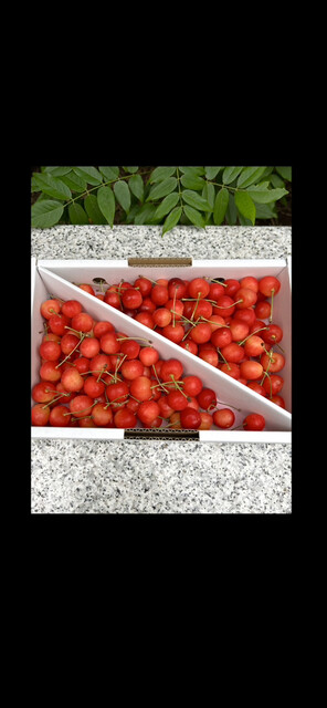 JA山形おきたま 南陽愛菜館 - 宮内（その他）の写真