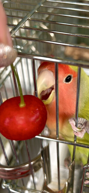 JA山形おきたま 南陽愛菜館 - 宮内（その他）の写真