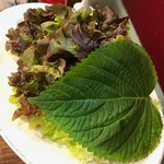 흥부골숯불돼지갈비 - 